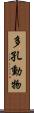 多孔動物 Scroll