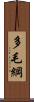 多毛綱 Scroll