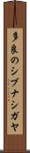 多良のシブナシガヤ Scroll