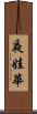 夜娃華 Scroll