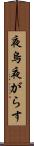 夜烏 Scroll