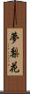 夢梨花 Scroll