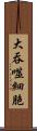 大吞噬細胞 Scroll