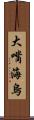 大嘴海烏 Scroll