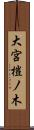 大宮榿ノ木 Scroll