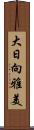 大日向雅美 Scroll