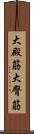 大殿筋 Scroll