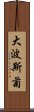 大波斯菊 Scroll