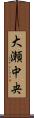 大瀬中央 Scroll