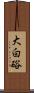 大白硲 Scroll