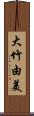 大竹由美 Scroll