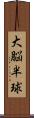 大脳半球 Scroll