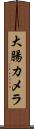 大腸カメラ Scroll
