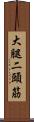 大腿二頭筋 Scroll