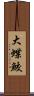 大蝶鮫 Scroll