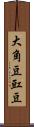 大角豆 Scroll