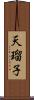 天瑠子 Scroll
