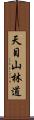 天目山林道 Scroll