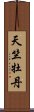 天竺牡丹 Scroll