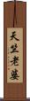 天竺老婆 Scroll