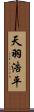 天羽浩平 Scroll