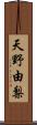 天野由梨 Scroll