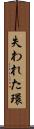 失われた環 Scroll