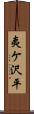 夷ケ沢平 Scroll