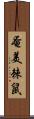 奄美棘鼠 Scroll