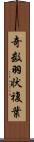 奇数羽状複葉 Scroll