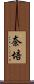 奈培 Scroll