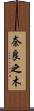 奈良之木 Scroll