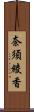 奈須綾香 Scroll