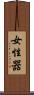女性器 Scroll