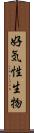 好気性生物 Scroll
