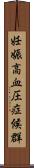 妊娠高血圧症候群 Scroll