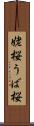 姥桜 Scroll