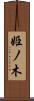 姫ノ木 Scroll
