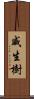 威生樹 Scroll
