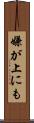 嫌が上にも Scroll