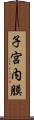 子宮内膜 Scroll