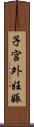 子宮外妊娠 Scroll