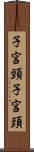 子宮頸 Scroll