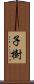 子樹 Scroll