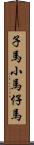 子馬 Scroll