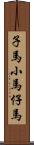 子馬;小馬;仔馬 Scroll