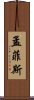 孟菲斯 Scroll