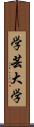 学芸大学 Scroll