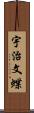 宇治文蝶 Scroll