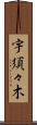 宇須々木 Scroll